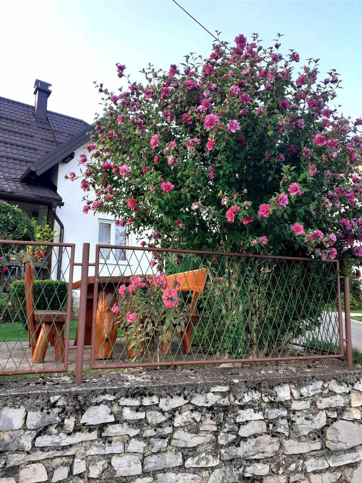 Guesthouse Milka Poljanak Eksteriør bilde